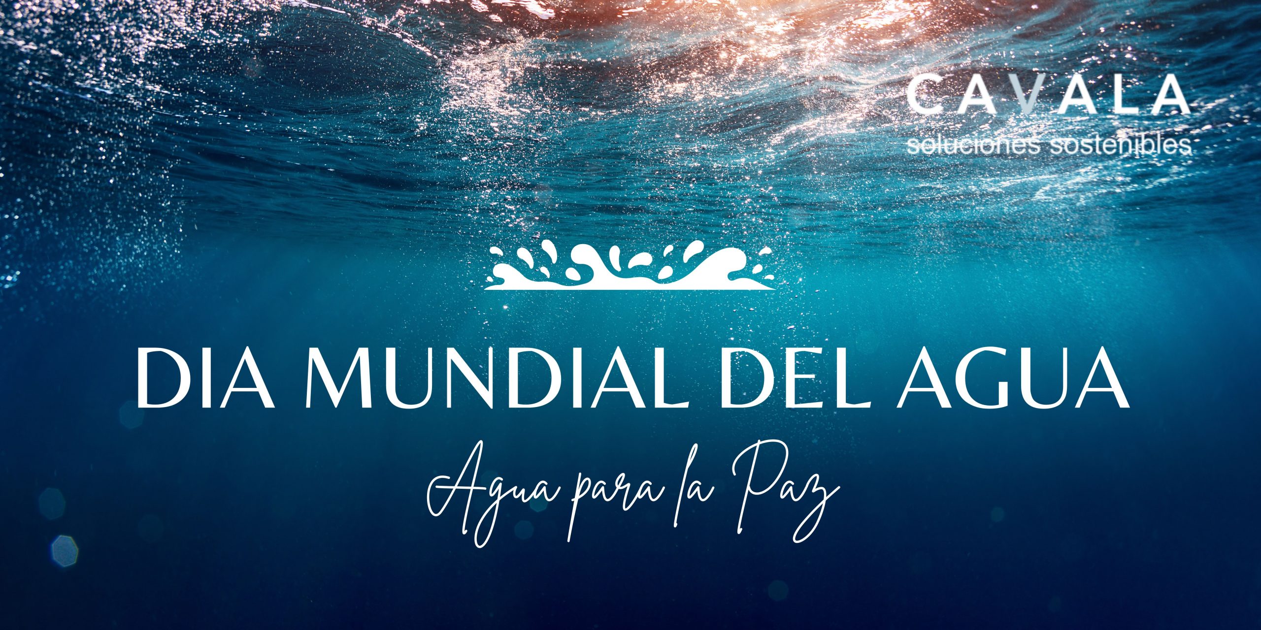 Agua para la paz - Día Mundial del Agua 2024 - Cavala